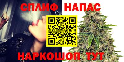 герыч Пугачёв
