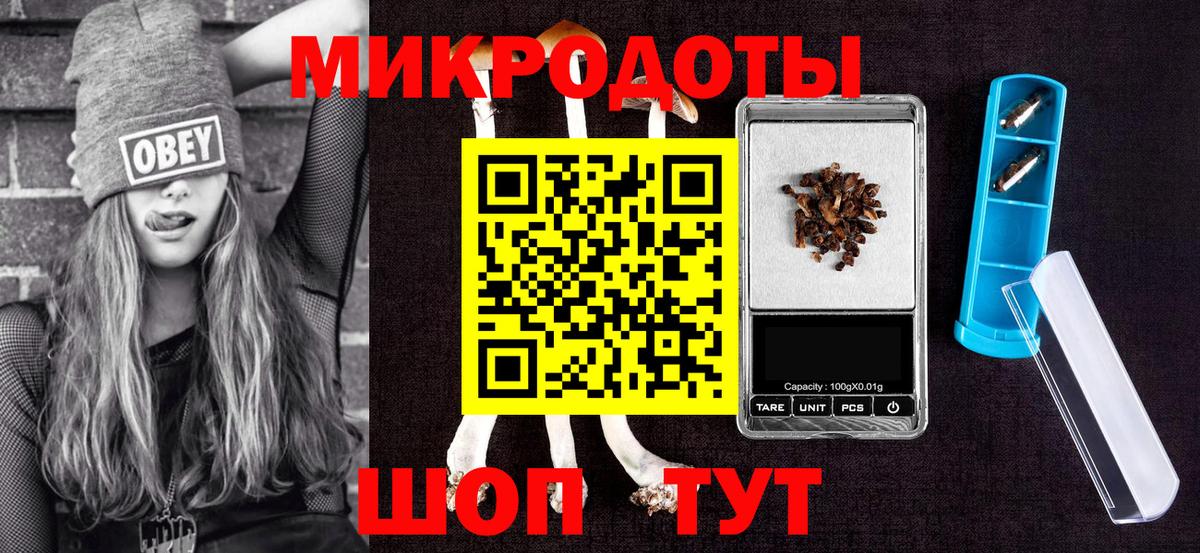 Тайшет  Галлюциногенные грибы MAGIC MUSHROOMS  Вход с VPN  Галлюциногенные грибы прущие грибы 